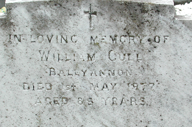 Cull, William.jpg 270.8K